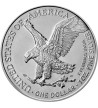 1$ American Eagle, type 2 1 oz Ag 999 2021 USA 1$ American Eagle, type 2 1 oz Ag 999 2021 USA