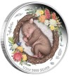 50¢ Wombat - Dreaming Down Under 1/2 oz Ag 999 2021 Australia 50¢ Wombat - Dreaming Down Under 1/2 oz Ag 999 2021 Australia
