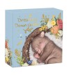 50¢ Wombat - Dreaming Down Under 1/2 oz Ag 999 2021 Australia 50¢ Wombat - Dreaming Down Under 1/2 oz Ag 999 2021 Australia