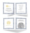 5 Mark Germania BU 1 oz Ag 999 2021 5 Mark Germania BU 1 oz Ag 999 2021
