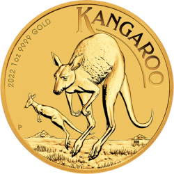 100$ Kangaroo 24h