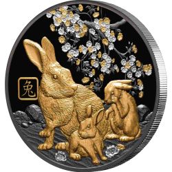 10$ Year of Rabbit - Lunar