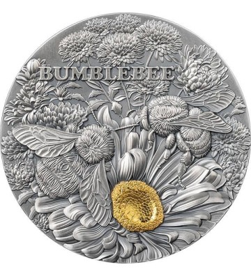10 Cedi Bumblebee - Nature Architects