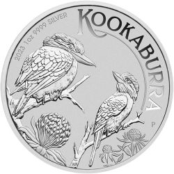 1$ Kookaburra 2023