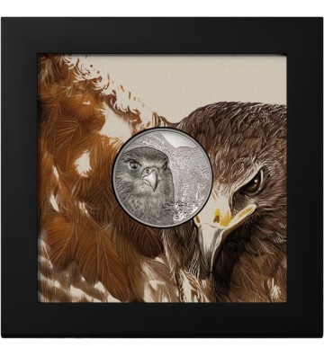 2000 Togrog The Saker Falcon