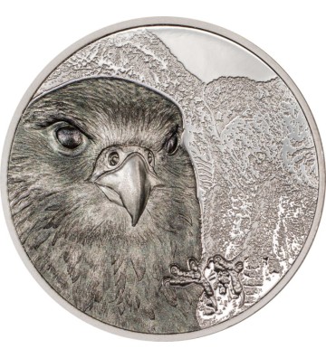 2000 Togrog The Saker Falcon
