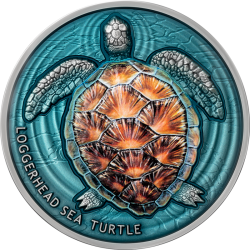 2$ Loggerheads - Sea Turtle