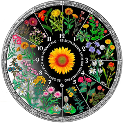 20$ Horologium florae Coloured