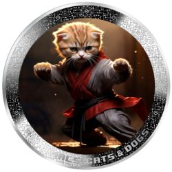 1000 Franków Kot Kung Fu -...