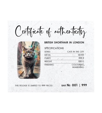 British Shorthair Cat in London - Cats in the City