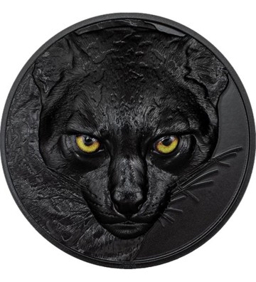 10$ Ocelot - Nocni Łowcy