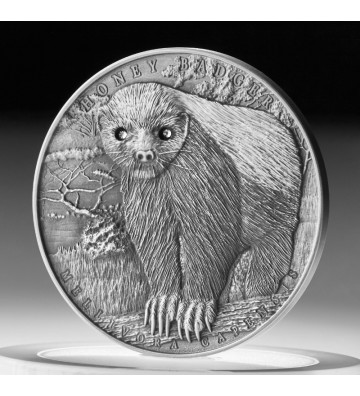 2$ Honey Badger - Brave Animals