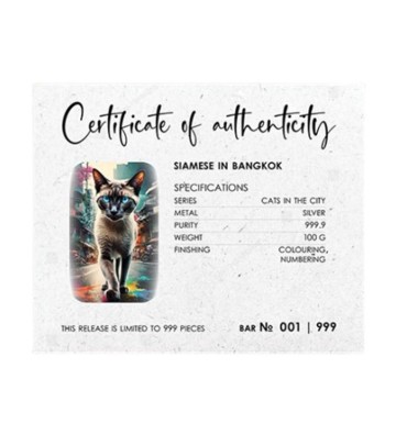 Siamese Cat in Bangkok - Cats in the City