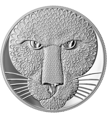 1000 Satoshi Puma, Binary World