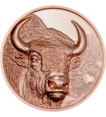 250 Togrog Bizon - Dzika Mongolia