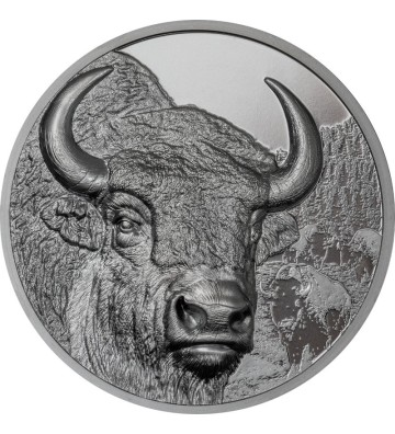 1000 Togrog Bison - Wild Mongolia