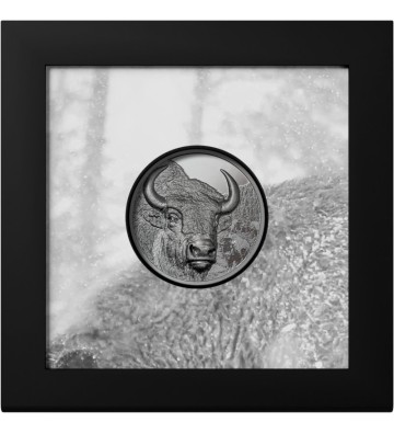1000 Togrog Bizon - Dzika Mongolia