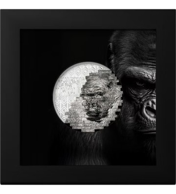 10$ Goryl - Rekonstrukcja