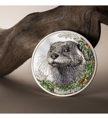 500 Togrog Otter -  Woodland Spirit