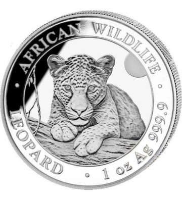 100 Shillings Leopard - African Wildlife