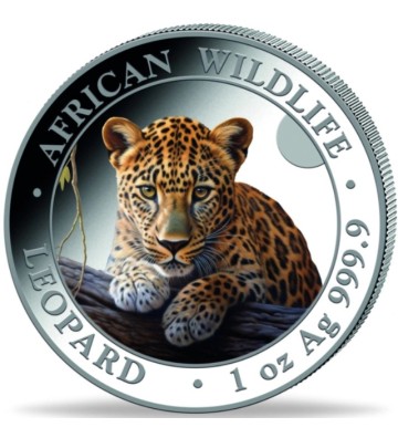 100 Shillings Leopard - African Wildlife