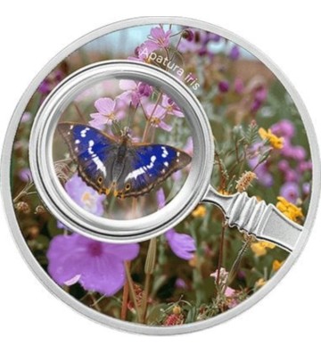500 Francs Apatura Iris – Butterflies