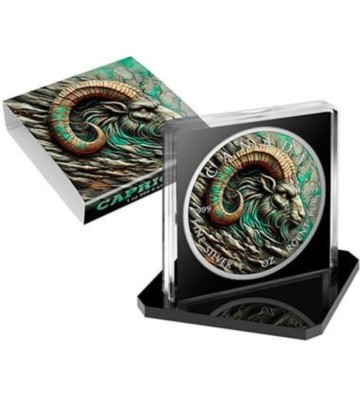 5$ Capricorn - Stone Zodiac