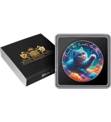 1$ Kot Egzotyczny Krótkowłosy - Koty Nebula, Amerykański Orzeł