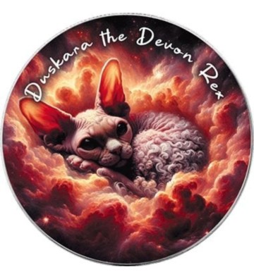 1$ Devon Rex - Koty Nebula, Amerykański Orzeł