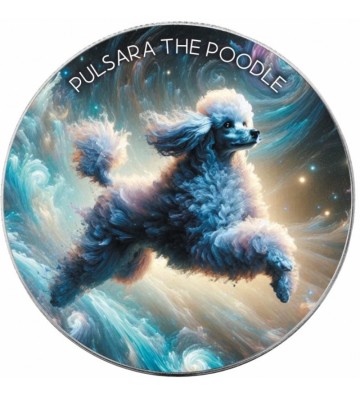 1$ Pulsara, Pudel - Psy Nebula, Amerykański Orzeł