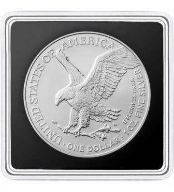 1$ Gildora, Złoty Retriever - Psy Nebula, Amerykański Orzeł