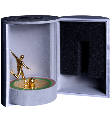 10$ Fifa 2026, Rotating Coin