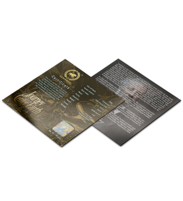 3000 Francs Journey to the Center of the Earth - Jules Verne Collection