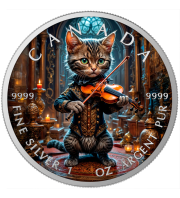 5$ Kot Skrzypek