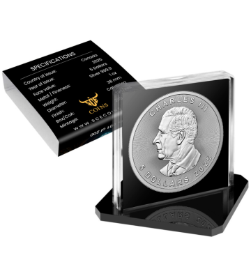 5$ Kot Skrzypek