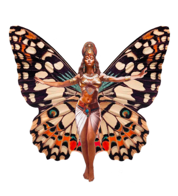 5 Cedis Lady Butterfly