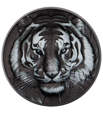 5$ Tiger - Black and White