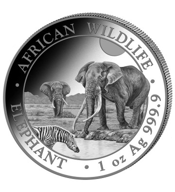 100 Shillings Elephant - African Wildlife