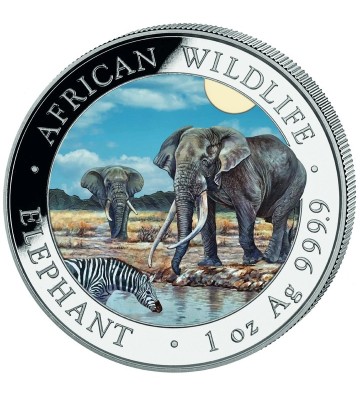 100 Szylingów Słoń - Dzika Przyroda Afryki