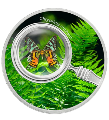 500 Francs Chrysiridia Rhipheus - Butterflies