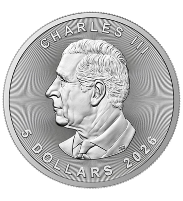 5$ Bitwa na poduszki