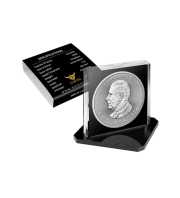 5$ Bitwa na poduszki