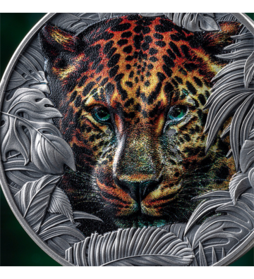 1$ Leopard - Urodzony, by Być Dzikim