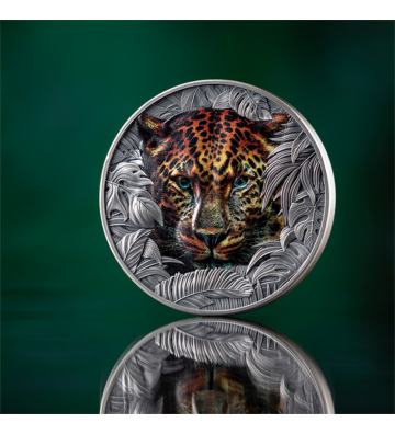 1$ Leopard - Born to be Wild