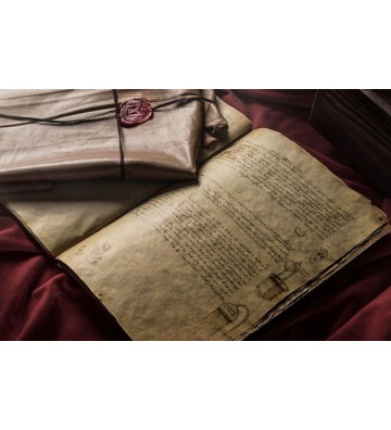 Leonardo da Vinci Faksymile - Codex Leicester
