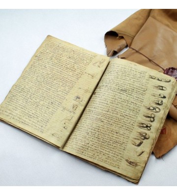 Codex Leicester, Leonardo da Vinci