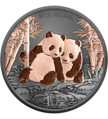 10 Yuan China Panda 2026 - Black & Pink