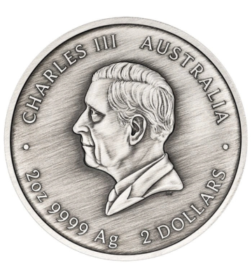 2$ Żółw Yaunati