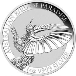 1$ Victoria’s Riflebird - Bird of Paradise 