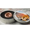 2$ Erfoud Meteorite 2$ Erfoud Meteorite